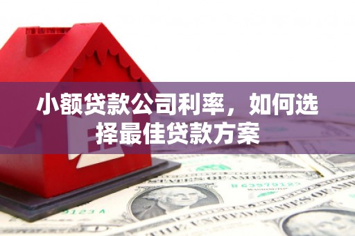 保税港区小额贷款公司利率，如何选择最佳贷款方案
