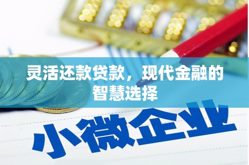 保税港区灵活还款贷款，现代金融的智慧选择