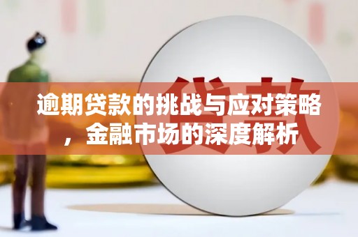 保税港区逾期贷款的挑战与应对策略，金融市场的深度解析