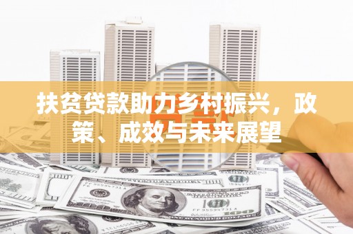 保税港区扶贫贷款助力乡村振兴，政策、成效与未来展望