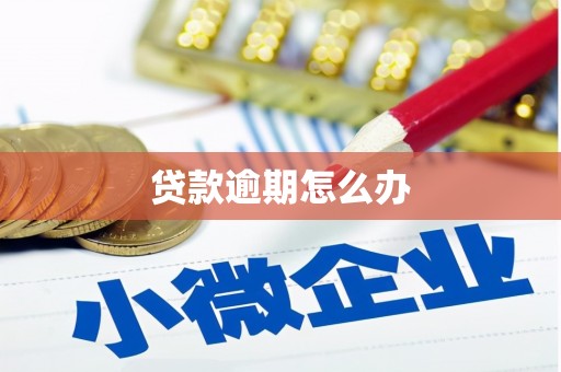 保税港区贷款逾期怎么办