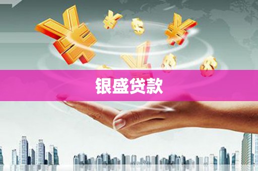 保税港区银盛贷款