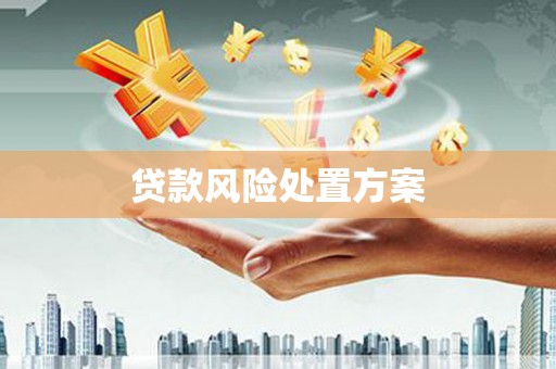 保税港区贷款风险处置方案