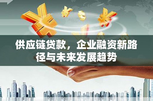 保税港区供应链贷款，企业融资新路径与未来发展趋势