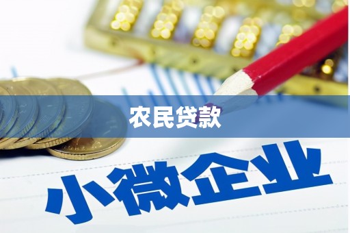 保税港区农民贷款