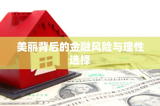 保税港区美丽背后的金融风险与理性选择