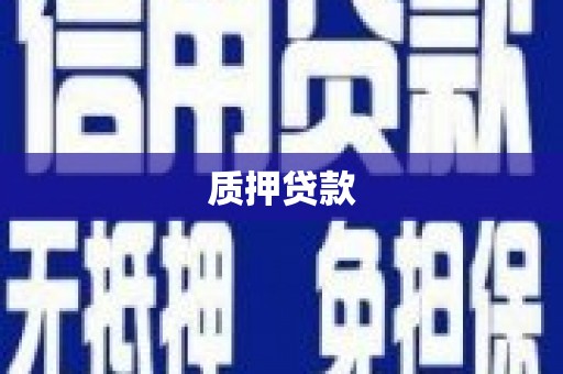 保税港区质押贷款