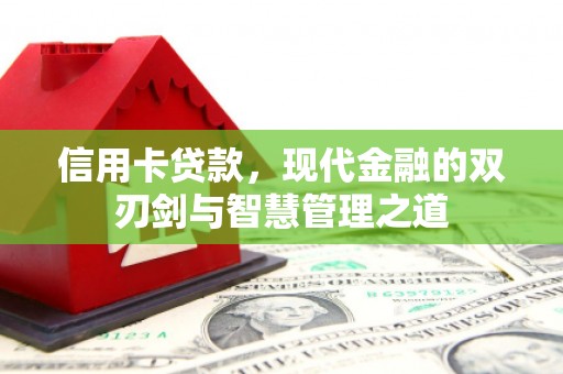 保税港区信用卡贷款，现代金融的双刃剑与智慧管理之道