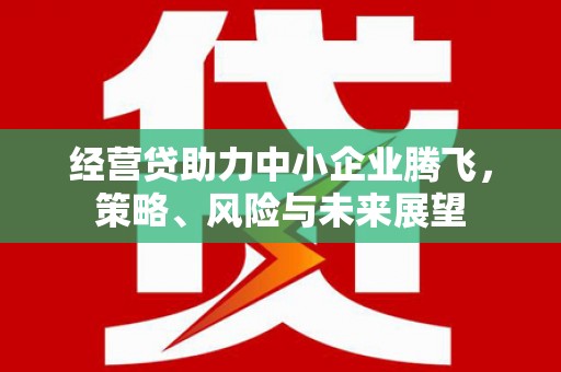 保税港区经营贷助力中小企业腾飞，策略、风险与未来展望