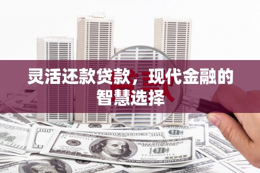 保税港区灵活还款贷款，现代金融的智慧选择
