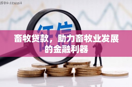 保税港区畜牧贷款，助力畜牧业发展的金融利器