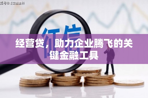 保税港区经营贷，助力企业腾飞的关键金融工具