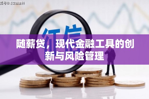 保税港区随薪贷，现代金融工具的创新与风险管理