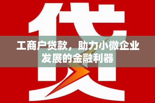 保税港区工商户贷款，助力小微企业发展的金融利器