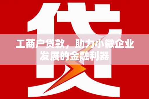 保税港区工商户贷款，助力小微企业发展的金融利器
