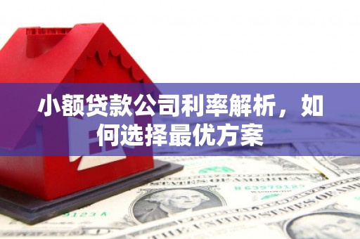保税港区小额贷款公司利率解析，如何选择最优方案