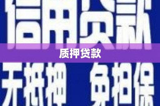 保税港区质押贷款