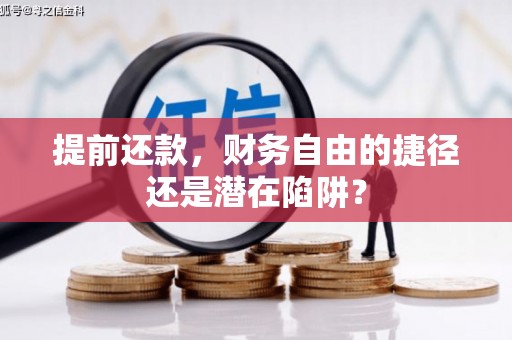 保税港区提前还款，财务自由的捷径还是潜在陷阱？