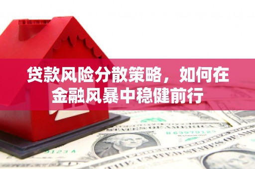 保税港区贷款风险分散策略，如何在金融风暴中稳健前行