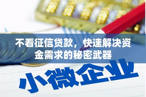保税港区不看征信贷款，快速解决资金需求的秘密武器