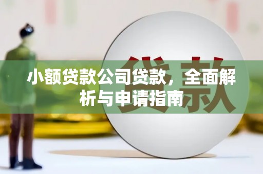 保税港区小额贷款公司贷款，全面解析与申请指南