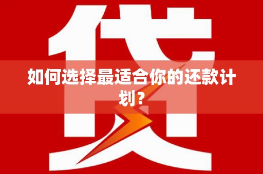 保税港区如何选择最适合你的还款计划？