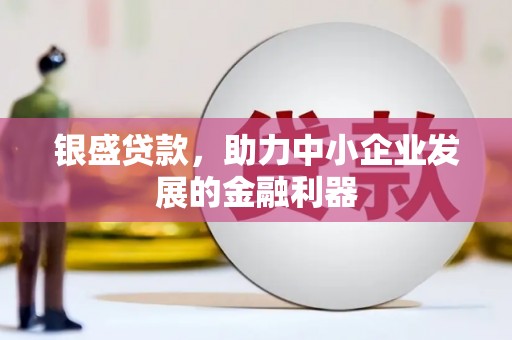 保税港区银盛贷款，助力中小企业发展的金融利器