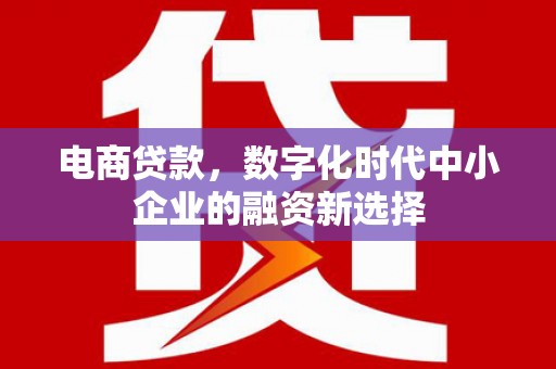 保税港区电商贷款，数字化时代中小企业的融资新选择
