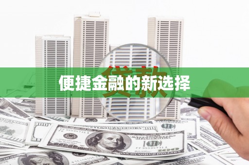 保税港区便捷金融的新选择