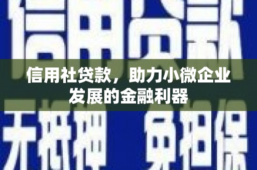 保税港区信用社贷款，助力小微企业发展的金融利器