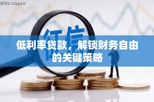 保税港区低利率贷款，解锁财务自由的关键策略
