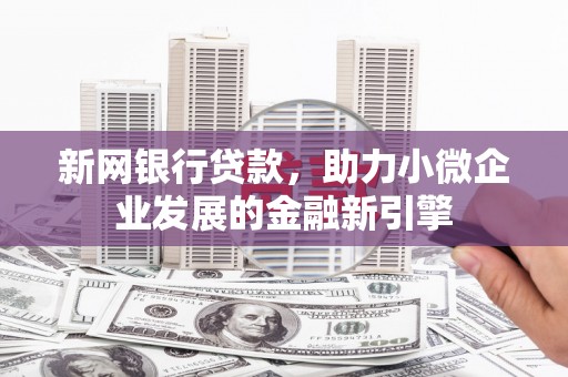 保税港区新网银行贷款，助力小微企业发展的金融新引擎