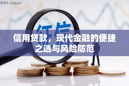 保税港区信用贷款，现代金融的便捷之选与风险防范