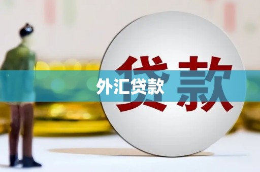 保税港区外汇贷款