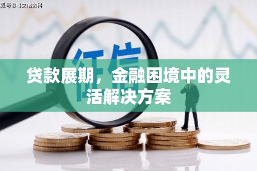 保税港区贷款展期，金融困境中的灵活解决方案