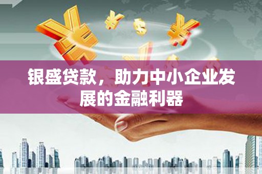保税港区银盛贷款，助力中小企业发展的金融利器
