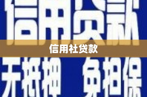 保税港区信用社贷款