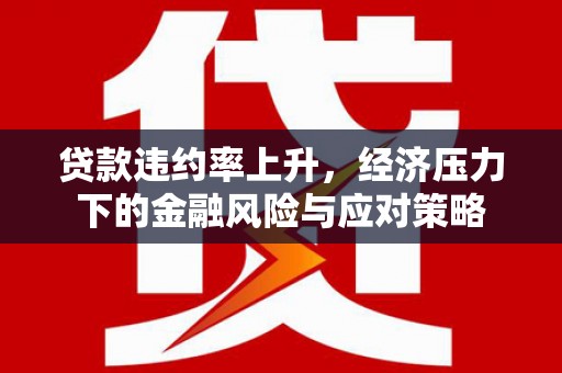 保税港区贷款违约率上升，经济压力下的金融风险与应对策略