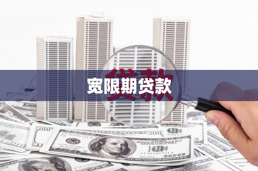 保税港区宽限期贷款