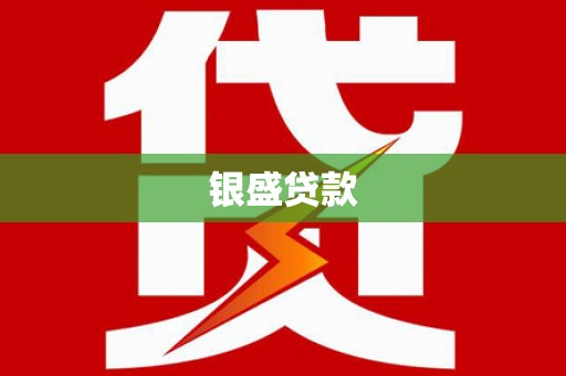 保税港区银盛贷款