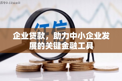 保税港区企业贷款，助力中小企业发展的关键金融工具