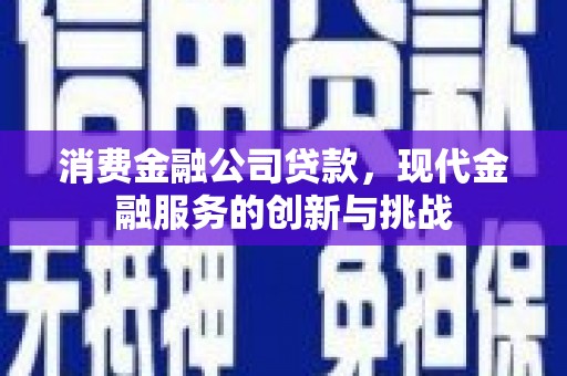 保税港区消费金融公司贷款，现代金融服务的创新与挑战