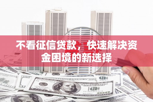 保税港区不看征信贷款，快速解决资金困境的新选择