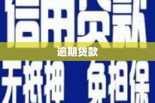 保税港区逾期贷款