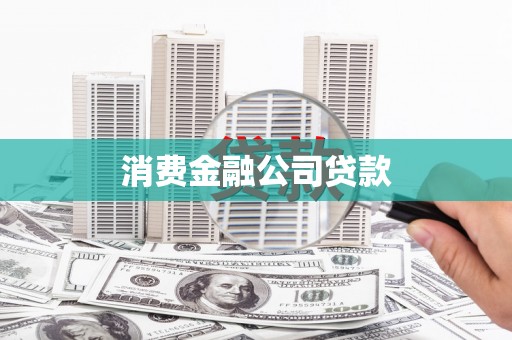 保税港区消费金融公司贷款