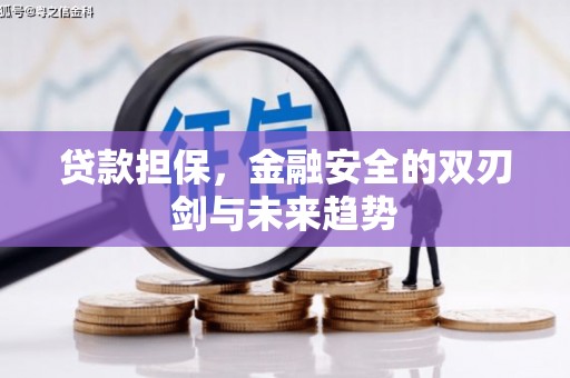 保税港区贷款担保，金融安全的双刃剑与未来趋势