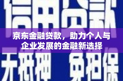 保税港区京东金融贷款，助力个人与企业发展的金融新选择