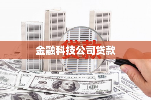 保税港区金融科技公司贷款