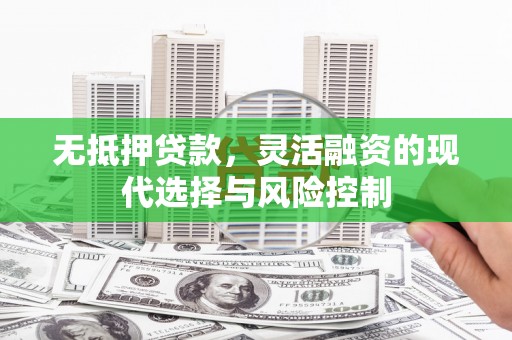 保税港区无抵押贷款，灵活融资的现代选择与风险控制