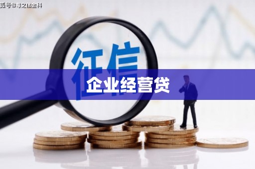 保税港区企业经营贷